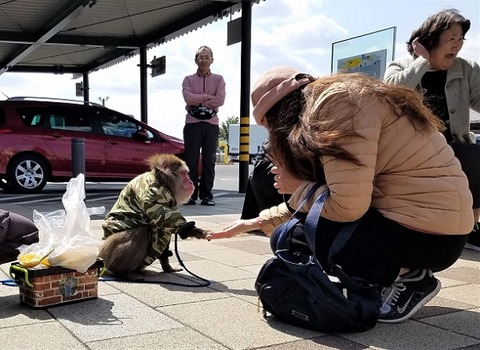 20200315_115928 - コピー