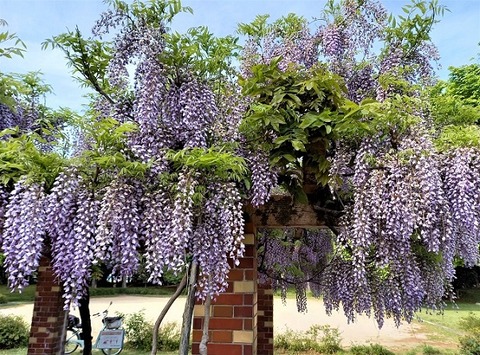 20210422_160449 - コピー