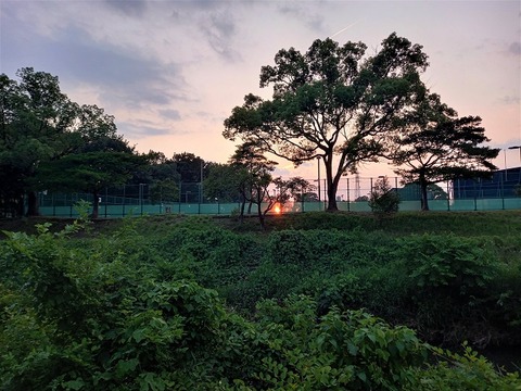 20230619_185812 (2)