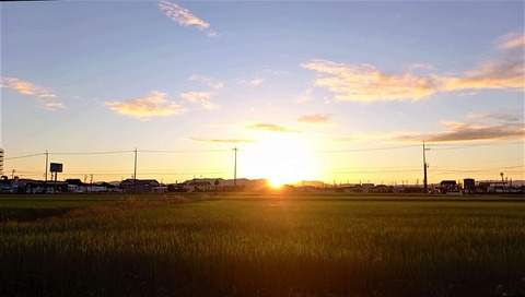 20220729_050854_Moment(3)