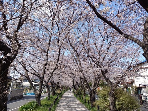 20210326_144110 - コピー