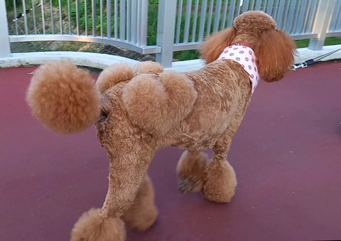 20220827_173329_Moment(12)