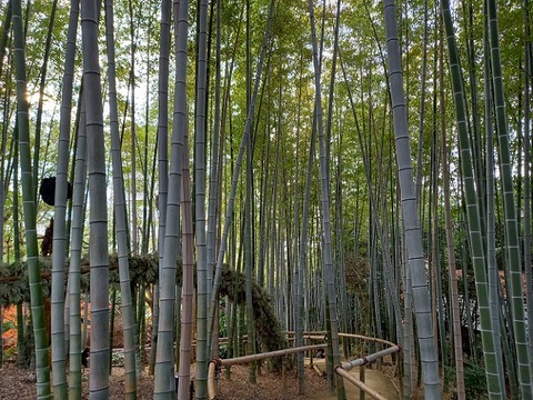 20211212_143031