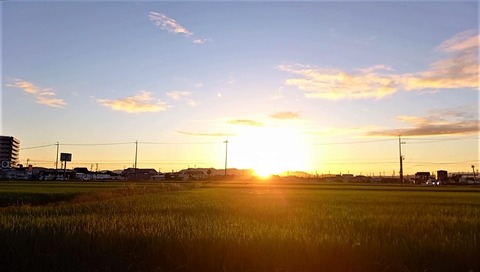 20220729_050854_Moment(2)