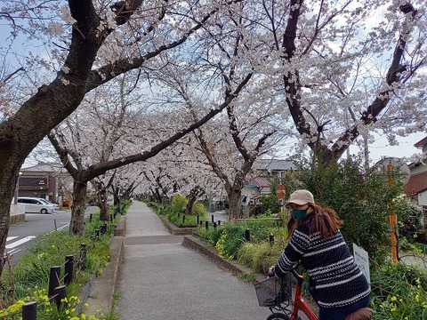 20210326_141603 - コピー