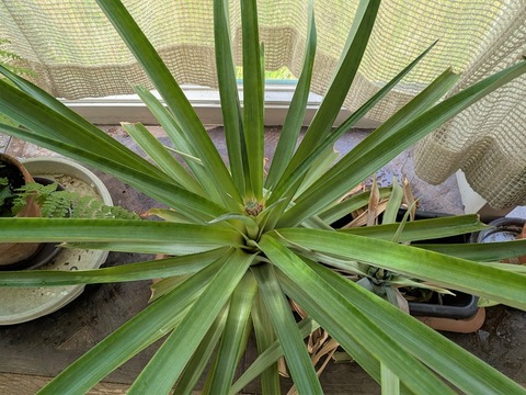 PXL_20250518_232739250 (2)