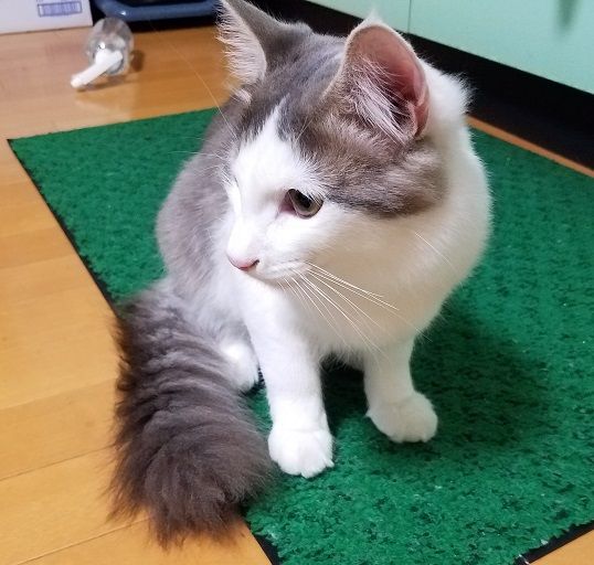 イメージ 4