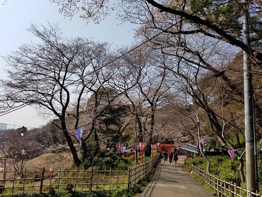 イメージ 5