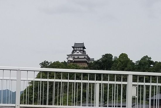 イメージ 14