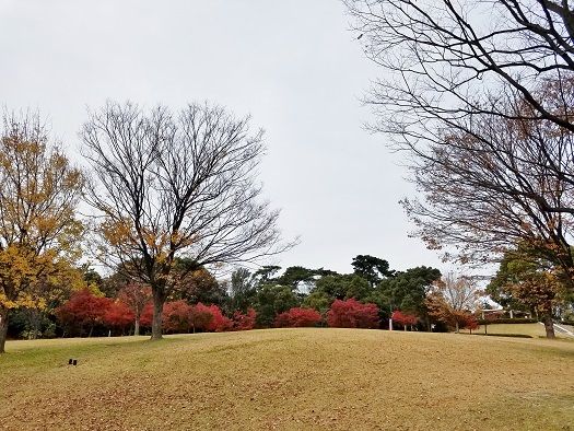 イメージ 4