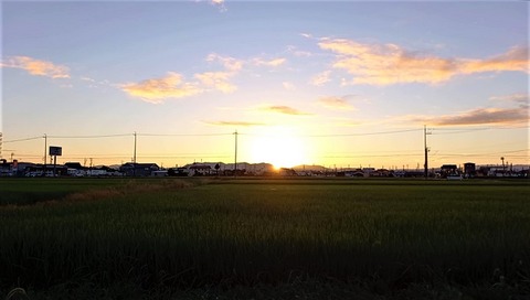 20220729_050854_Moment