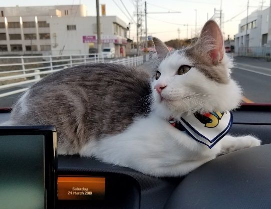 イメージ 3