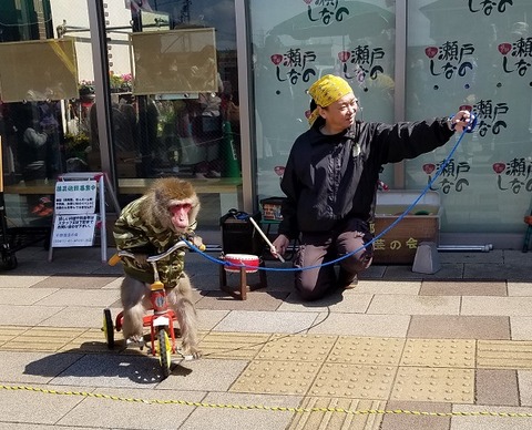 20200315_115135 - コピー