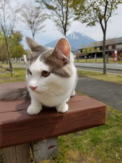 イメージ 9