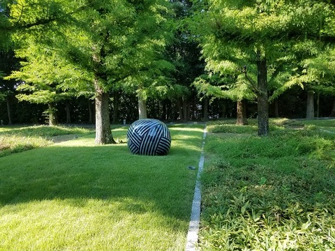 20190825_153220