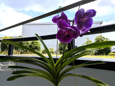 PXL_20250621_033445842