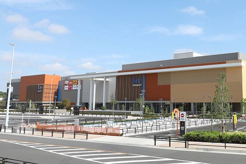 lalaport-togo-repo40