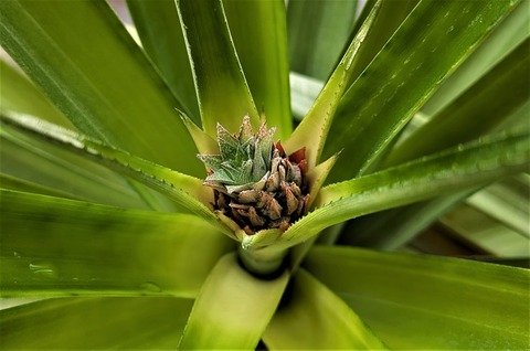 PXL_20250518_232751814 (2)