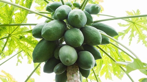 i6tqATveuWVHrgCLbsaLKP2sOeiEhcJMTc8aFvLR_jpeg