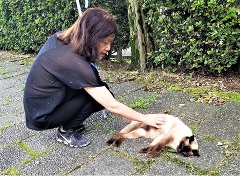 20200711_164521(0) - コピー