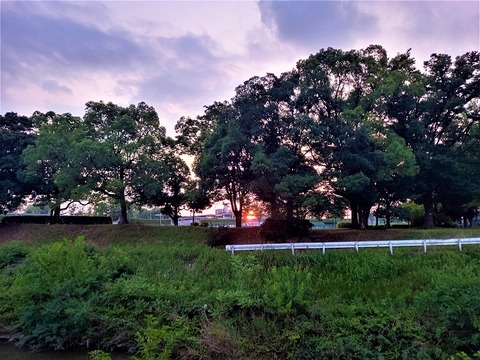 20230619_190158 (2)