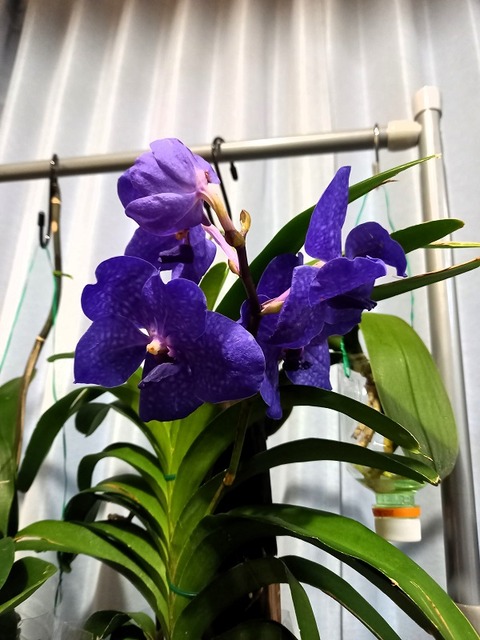 20250304_180526