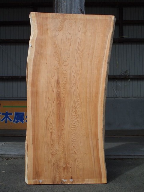 P9101977-kn49
