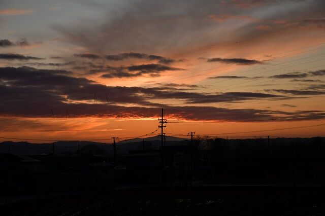 DSC_2558
