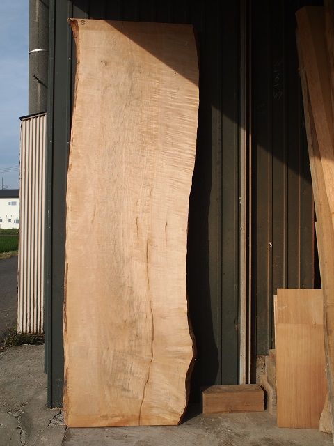P7260268