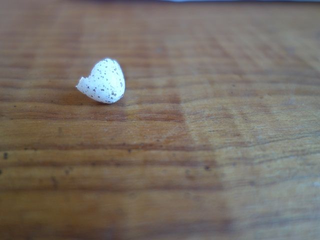 DSC09621