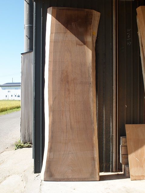 P9131483