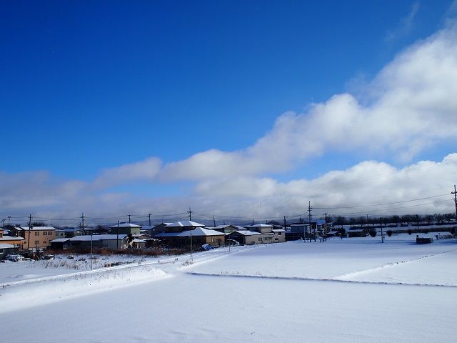 PC304202