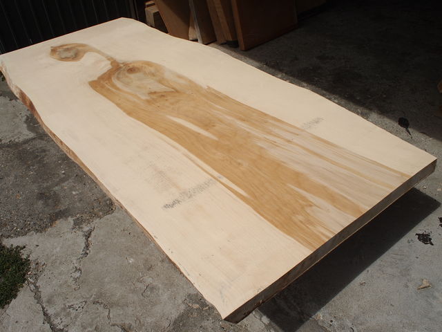 P8101047