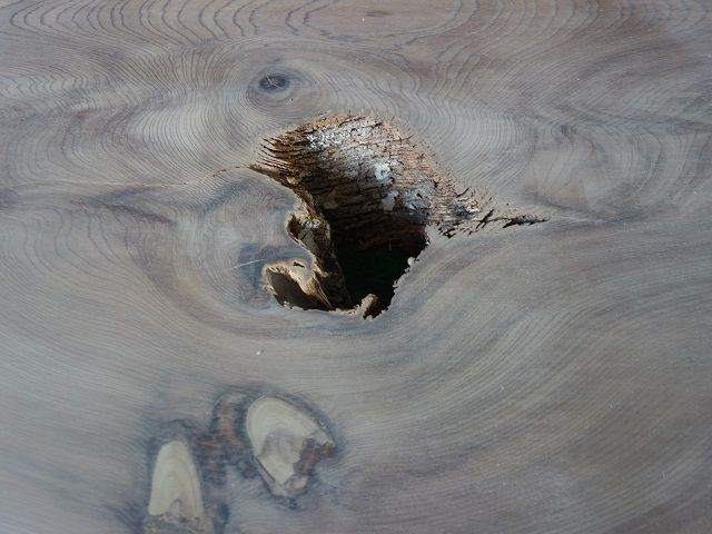DSC00687