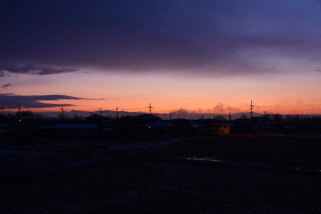 DSC_2605