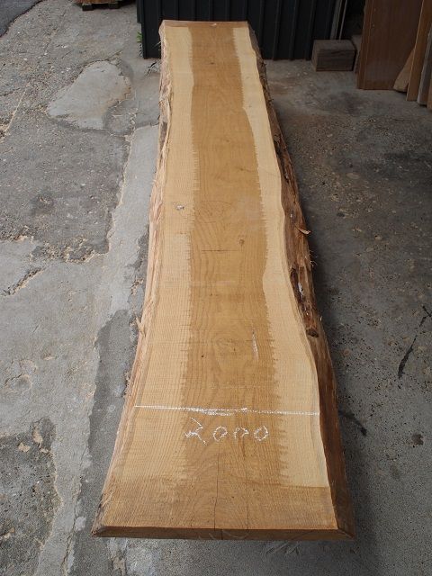 P6141394