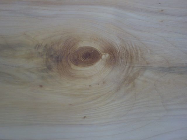 DSC00774