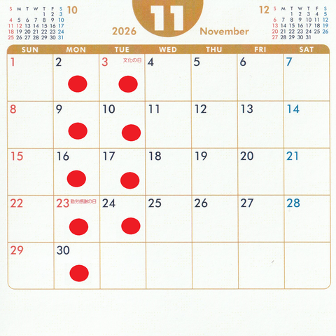 2026 11