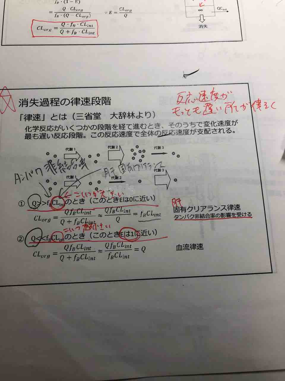 薬剤学日報 4 薬物動態 薬学生日報