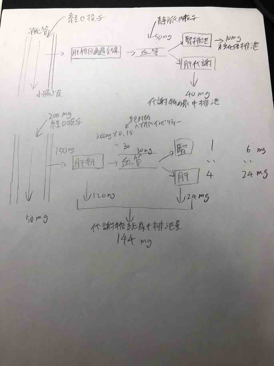 薬剤学日報 4 薬物動態 薬学生日報