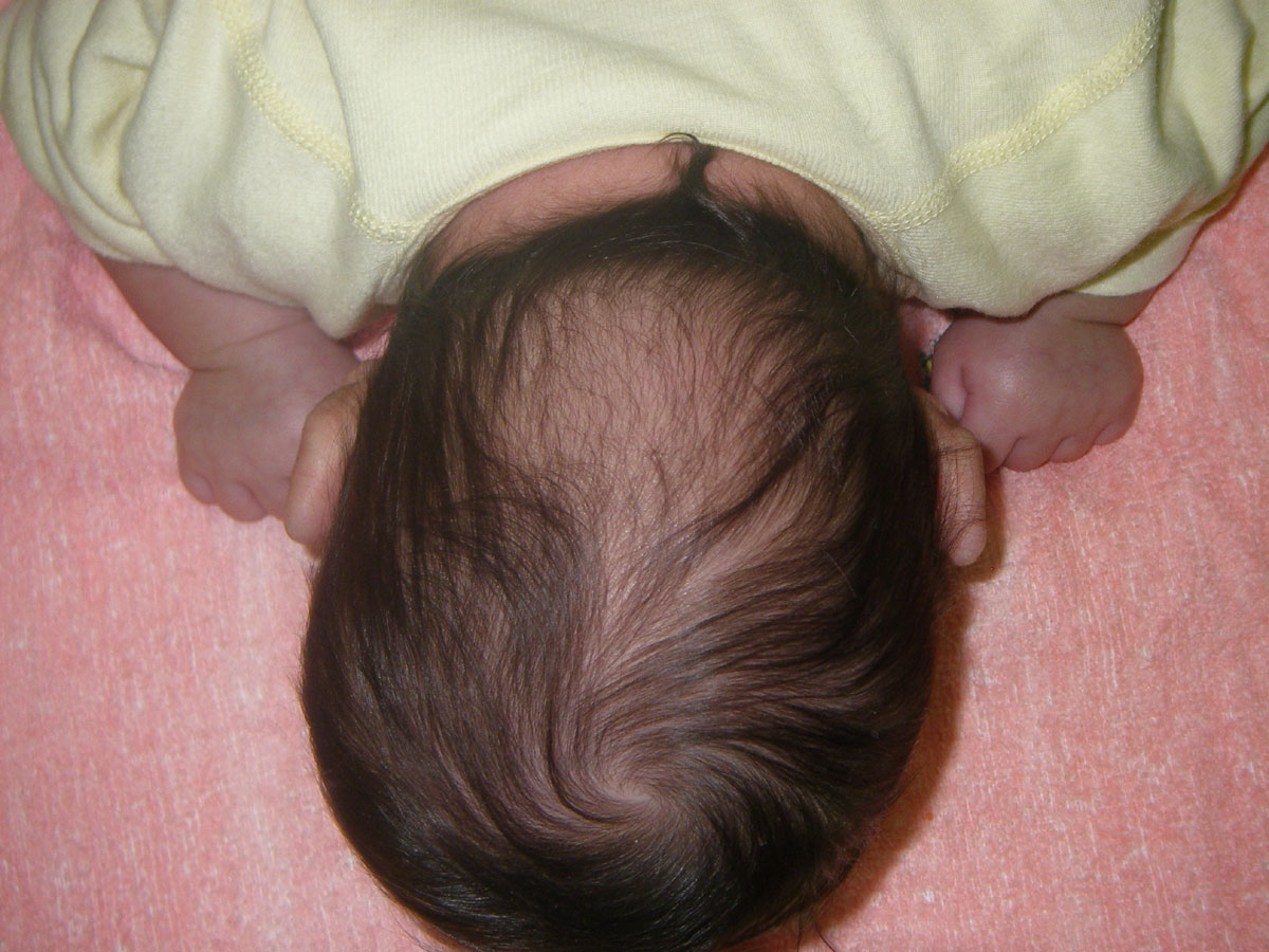 小姫の通院日記 ３ 姫日記