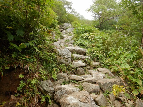 DSCN0437