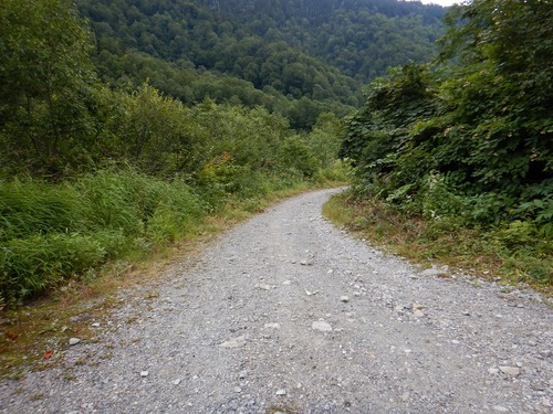 DSCN0634