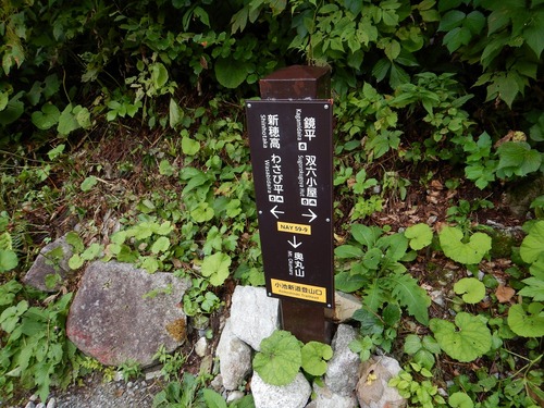 DSCN0633