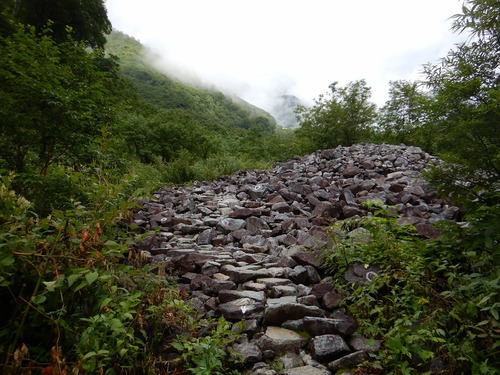 DSCN0407