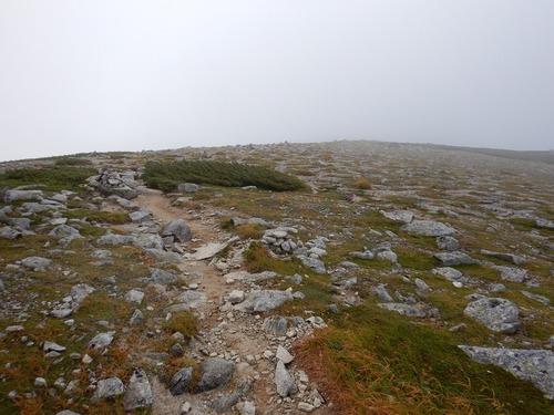 DSCN0547