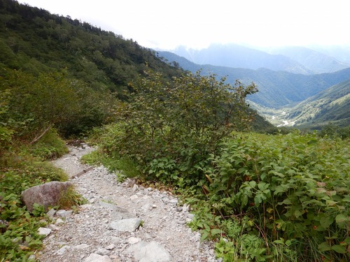 DSCN0613