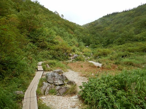 DSCN0434