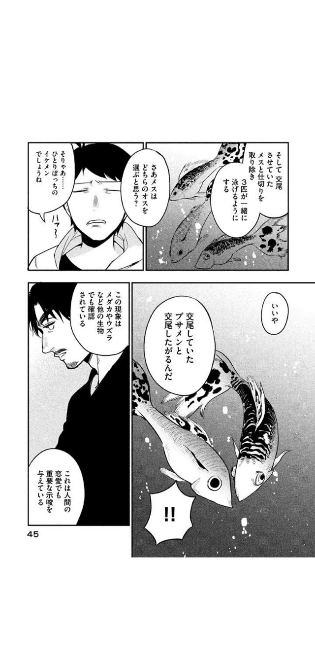 新版 恋愛工学の教科書 科学的に証明された恋愛の理論 新版 恋愛工学の教科書 科学的に証明された恋愛の理論