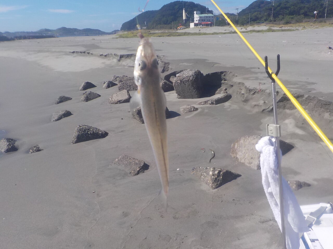 ８月１１日に鳴門 土佐泊へ あつじぃーの投げ釣り一筋